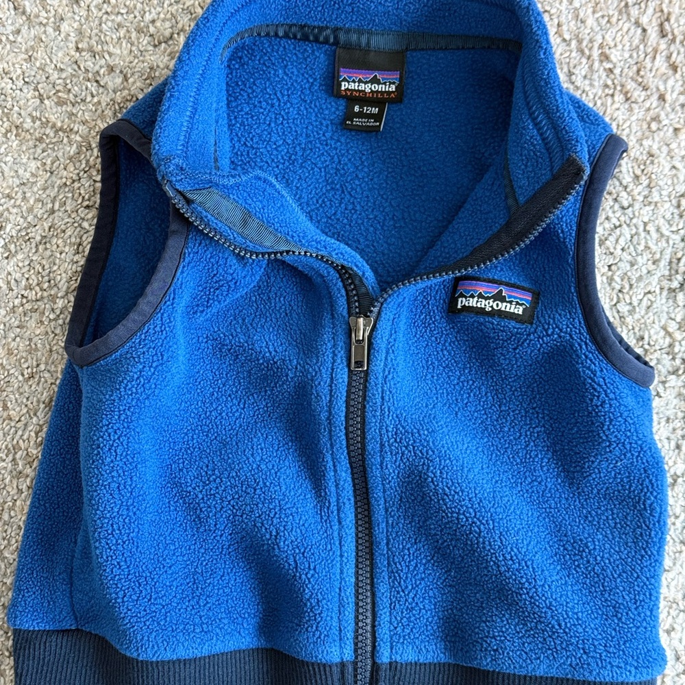 Patagonia Vibrant Blue Sleeveless Fleece